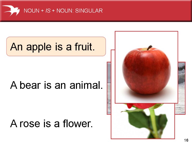 16 An apple is a fruit.   A bear is an animal. 